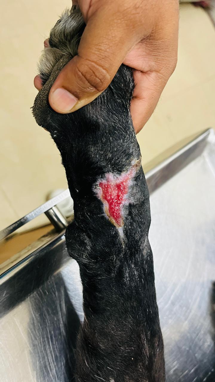 Skin Treatment After
